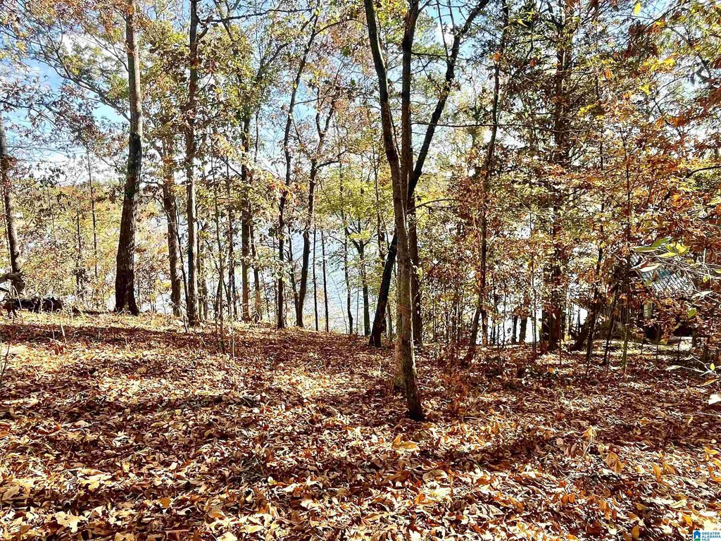 Picture 3
