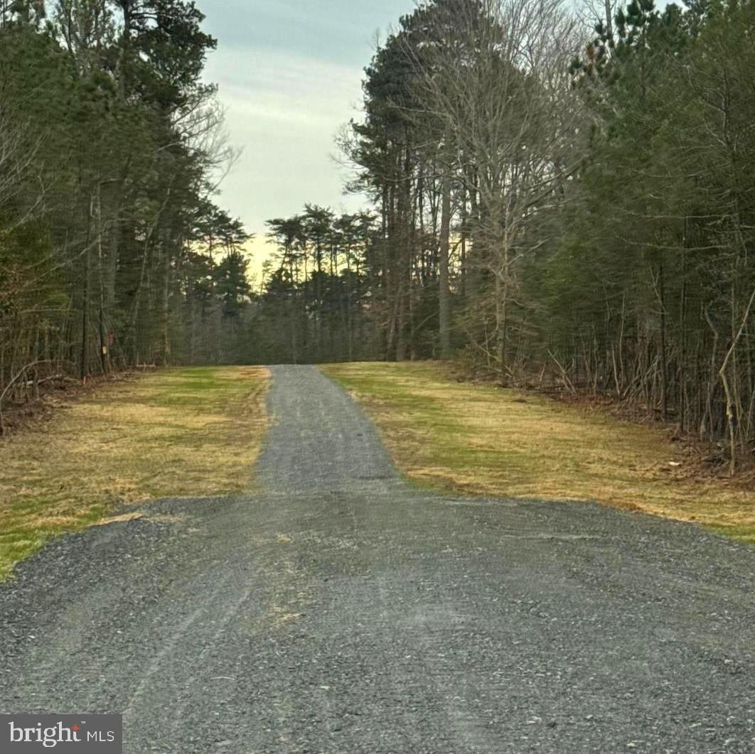 Waterfront Land in King George