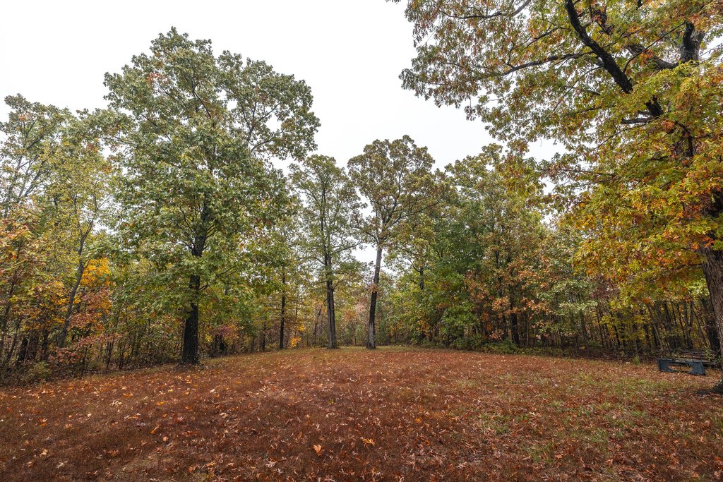 Picture 25