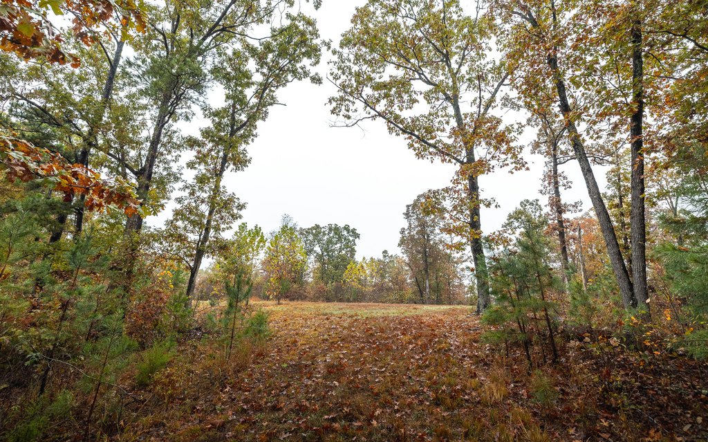 Picture 31