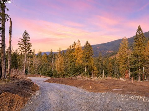 Ready-to-Build Land with Views