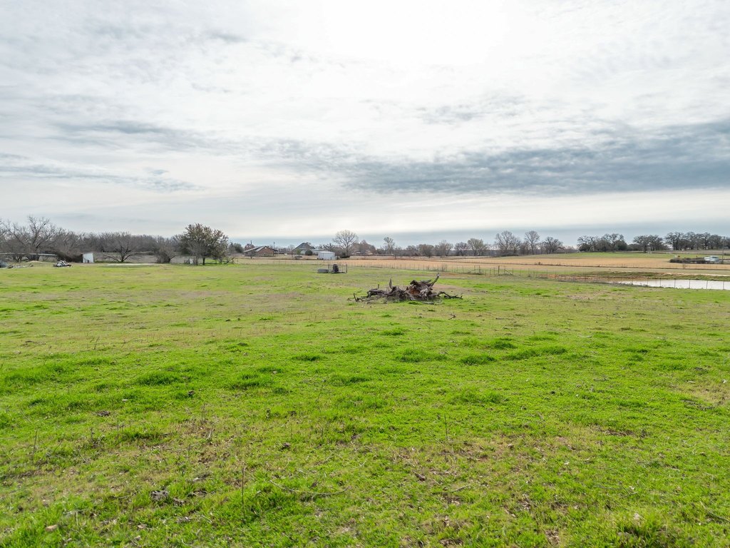 Picture 15