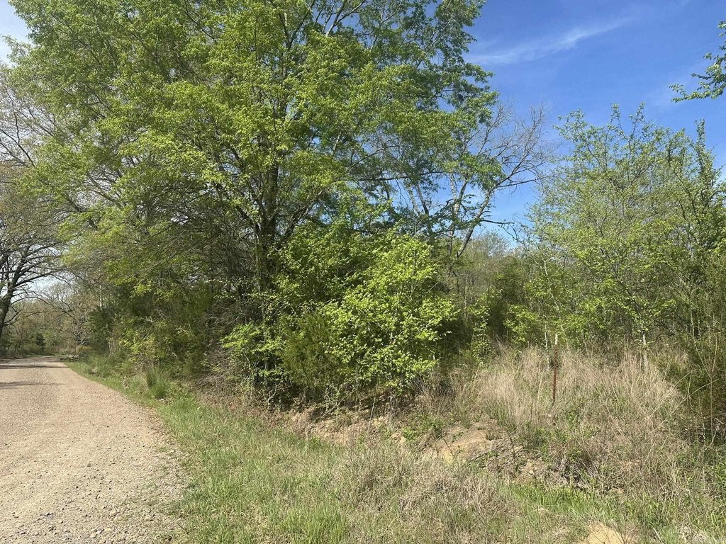 Picture 16