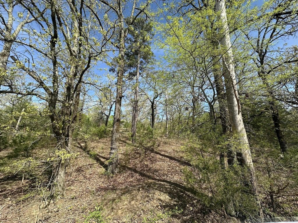 Picture 12