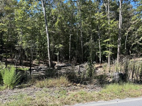 Vacant Lot, Ellijay, GA