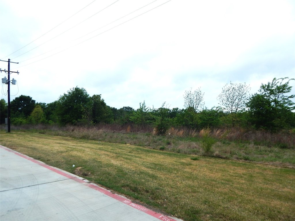 Picture 12