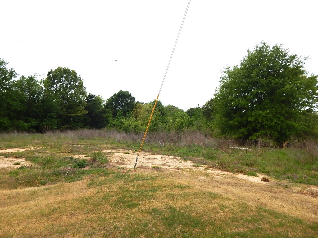 Picture 13