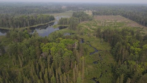 Land with Carter Creek