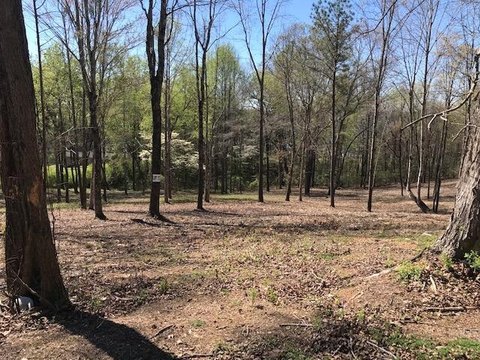 LAND - Spring City, TN