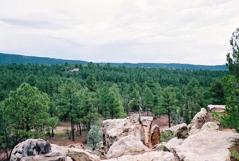 Picture 4