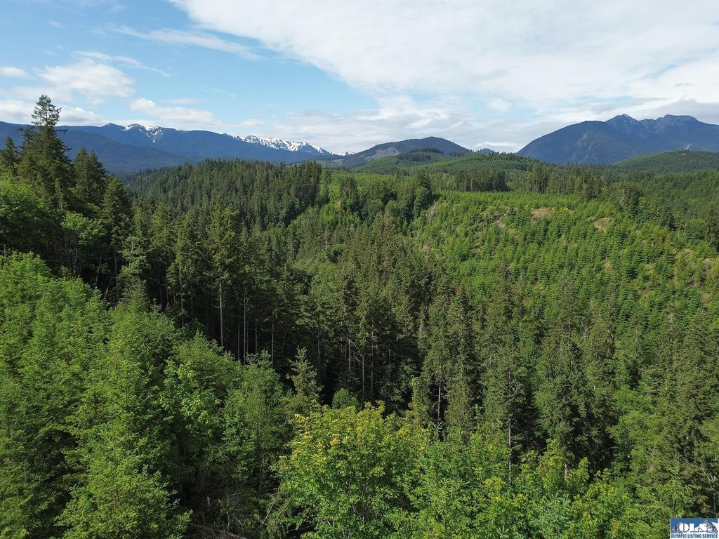 Picture 41