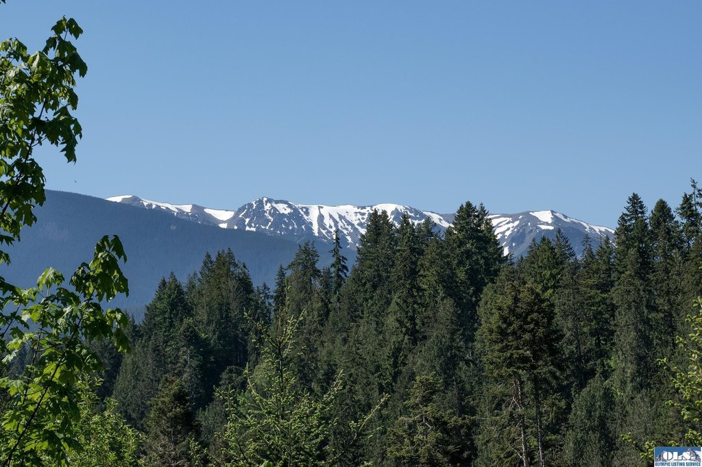 Picture 24