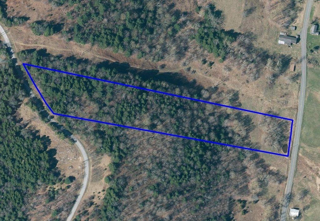 Picture 11
