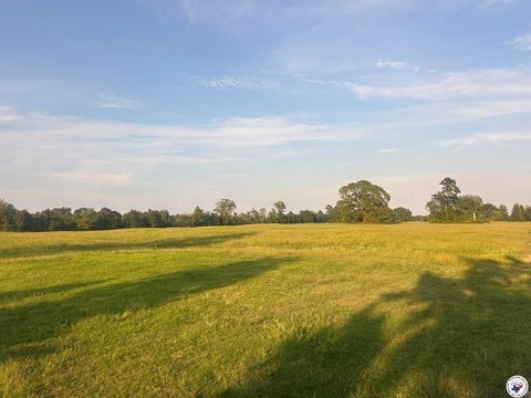 8 Acres of Buildable Land