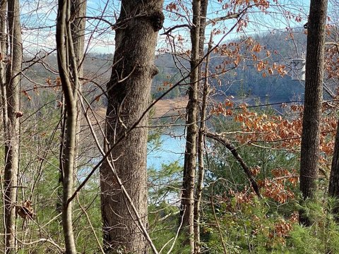 Waterfront Resort Land Lots