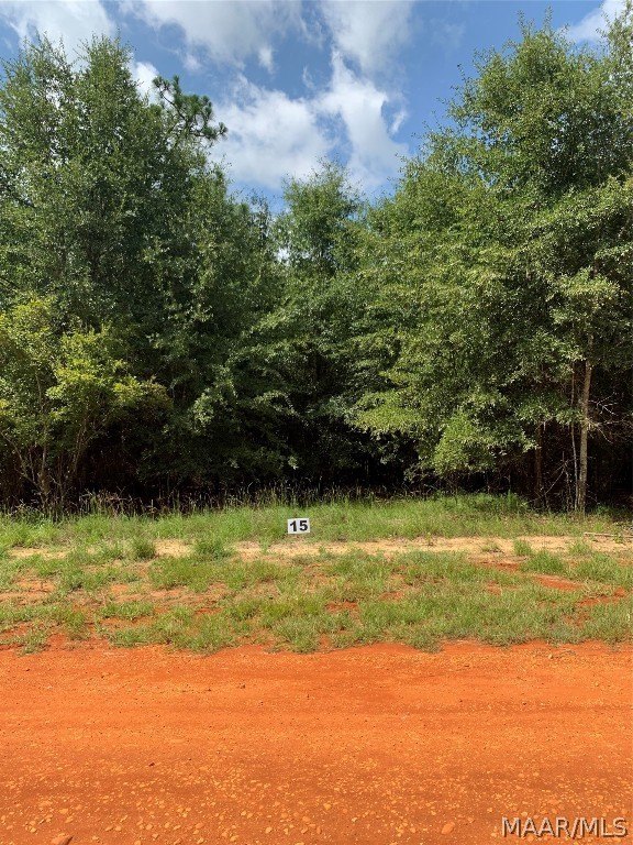 Land in Miller's Ferry