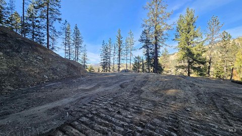 Land, Orofino, ID