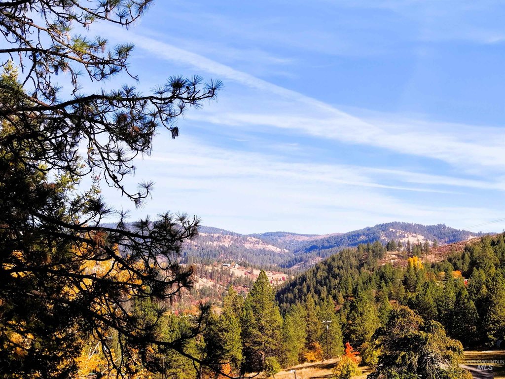 Picture 7