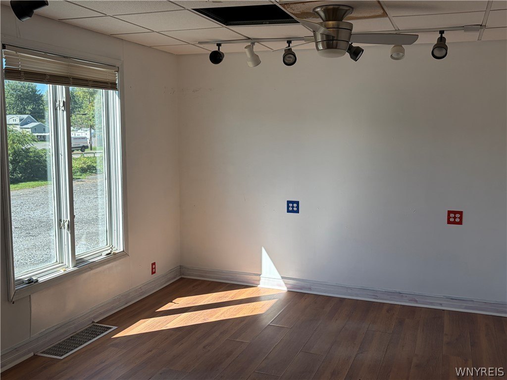 Picture 15