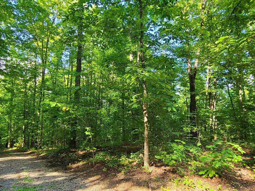 LAND - Sevierville, TN