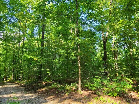 LAND - Sevierville, TN