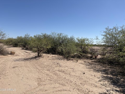 LAND - Eloy, AZ