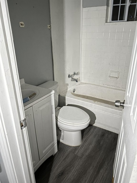 Picture 7