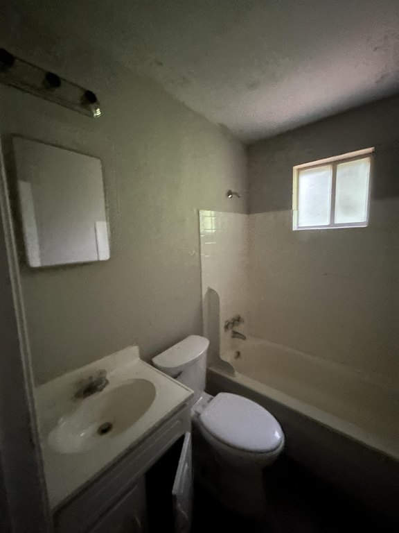 Picture 13