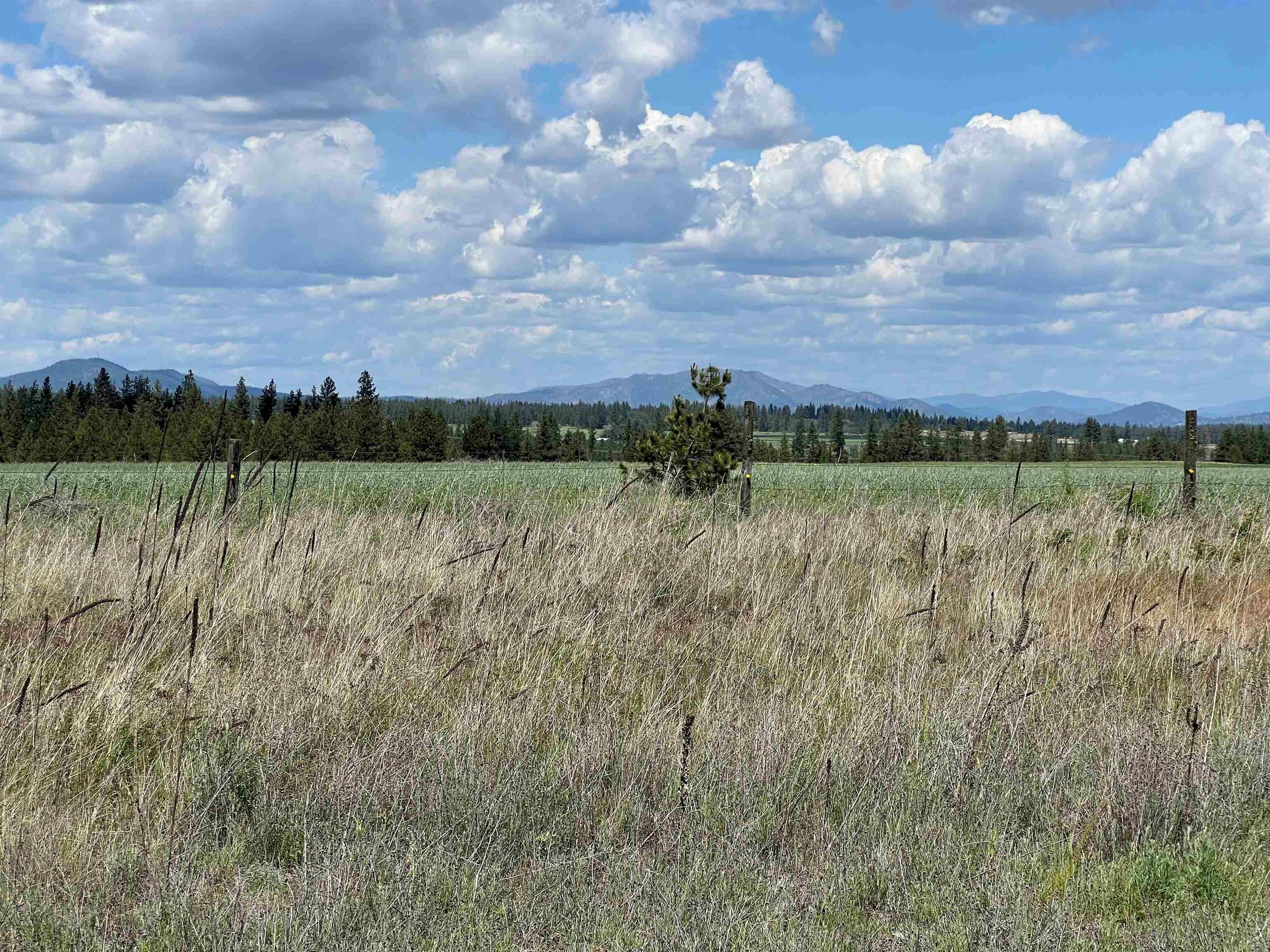 Spacious West Plains Acreage