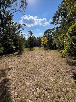 Wooded Ridgetop Lot Near Eureka