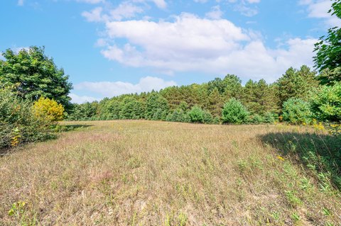 Residential Land Near Main Road