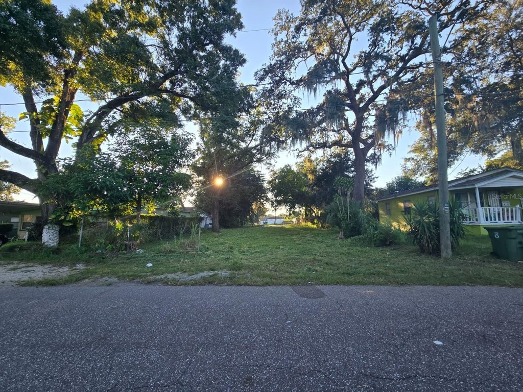 Picture 5