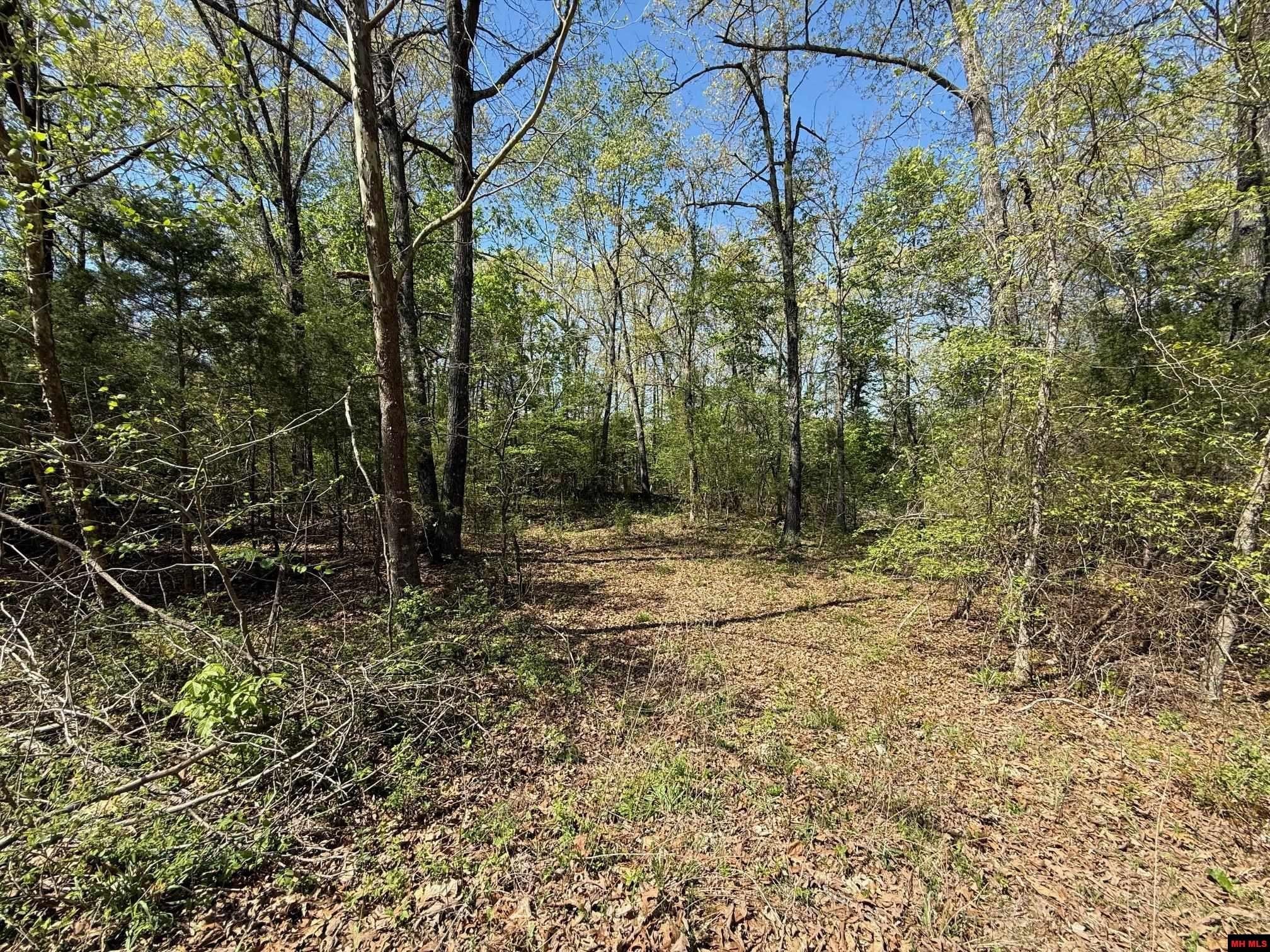Serene Wooded Land Near Lake