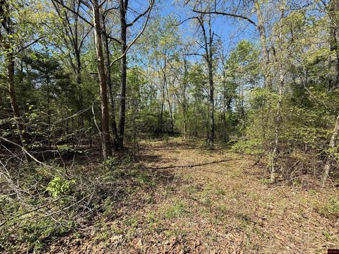 Serene Wooded Land Near Lake