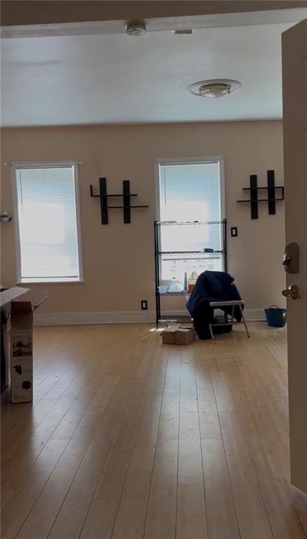 Picture 5