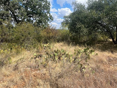 Land, Brownwood, TX