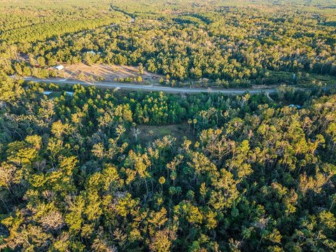 Recreational Land Near Steinhatchee, FL