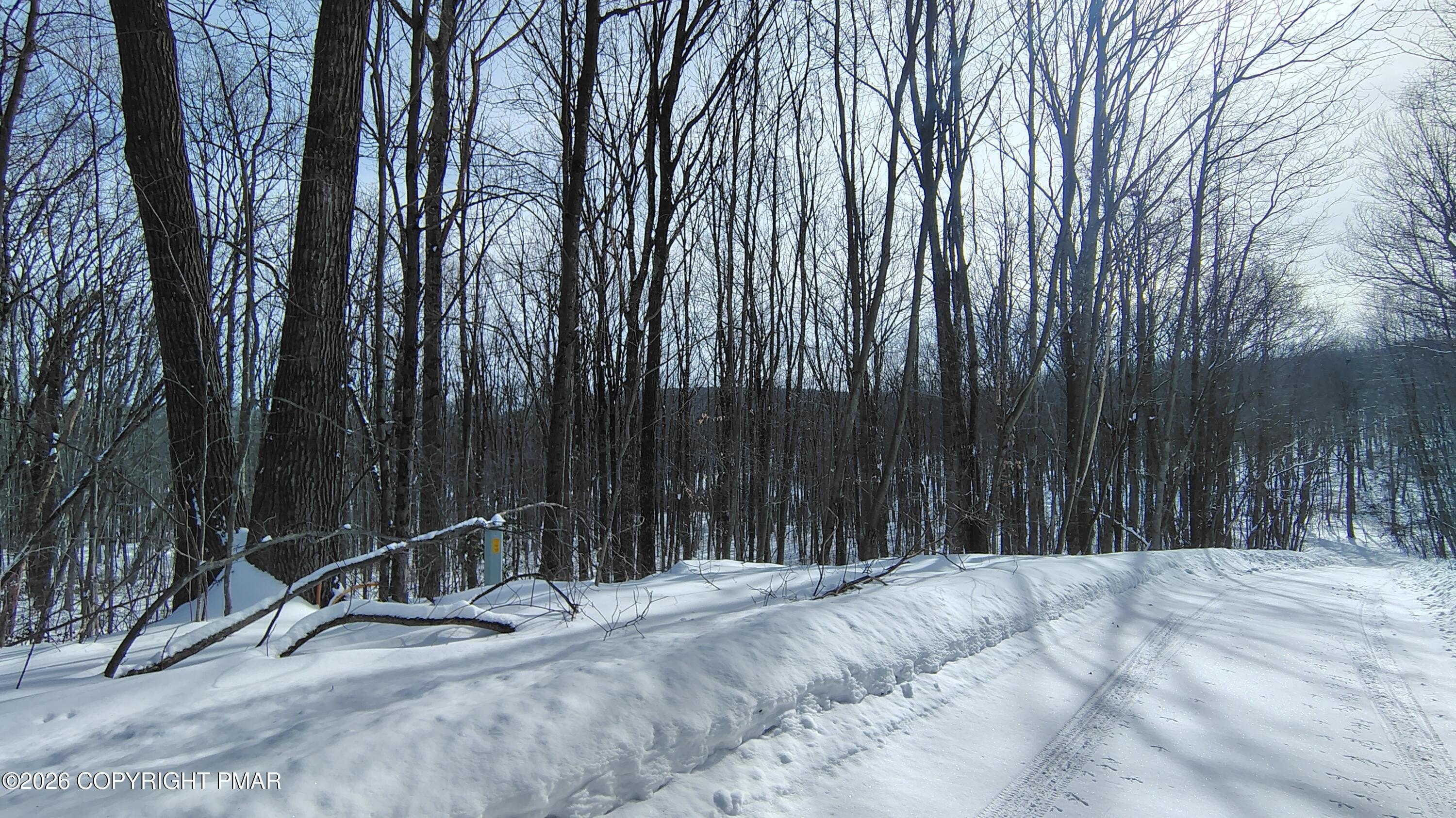 Wooded Lot in Salem Estates