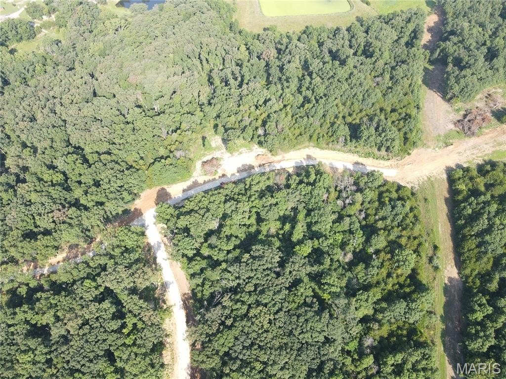 Picture 3