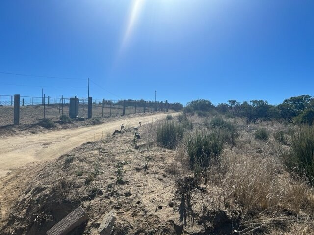 Picture 12