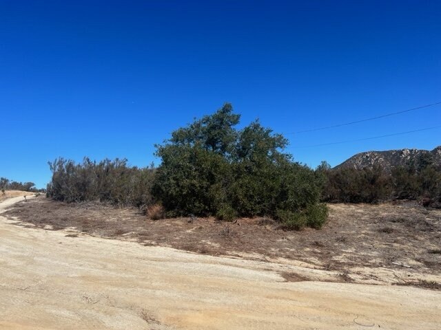 Picture 10