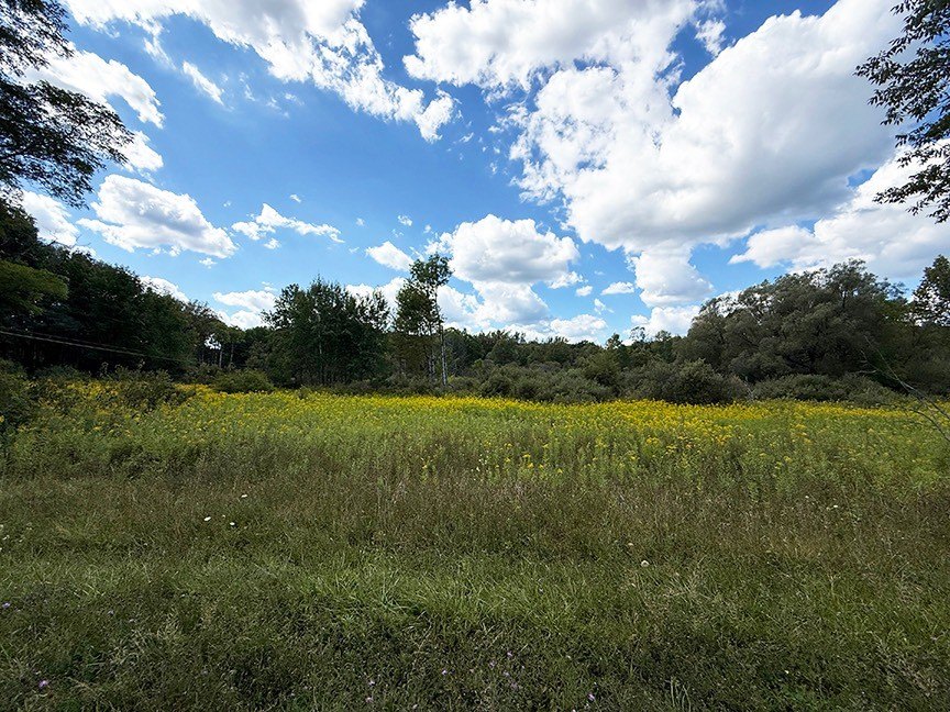 Cooperstown Vacant Land Opportunity