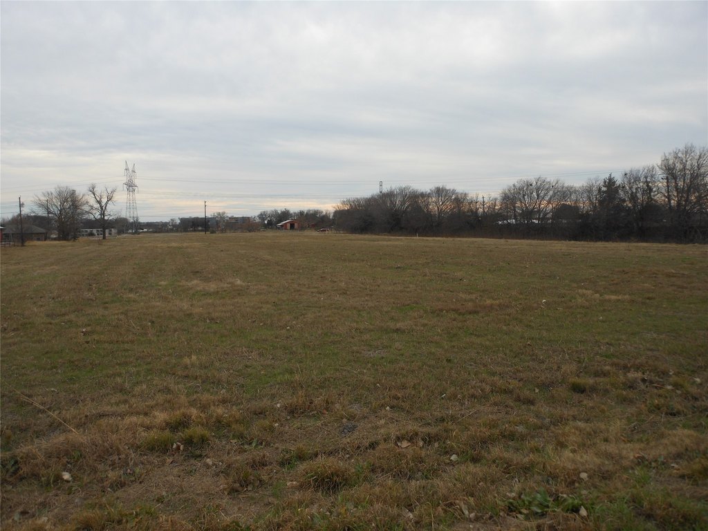Picture 8