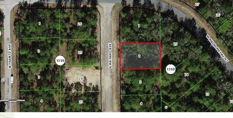 Land, CITRUS SPRINGS, FL