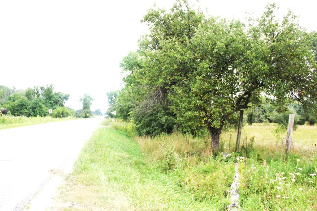 Picture 16