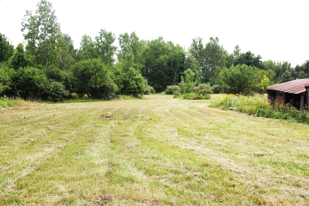 Picture 4