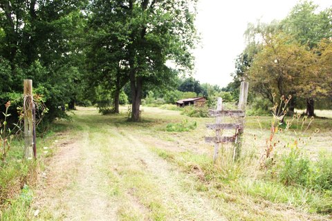 Land, Brockway, MI