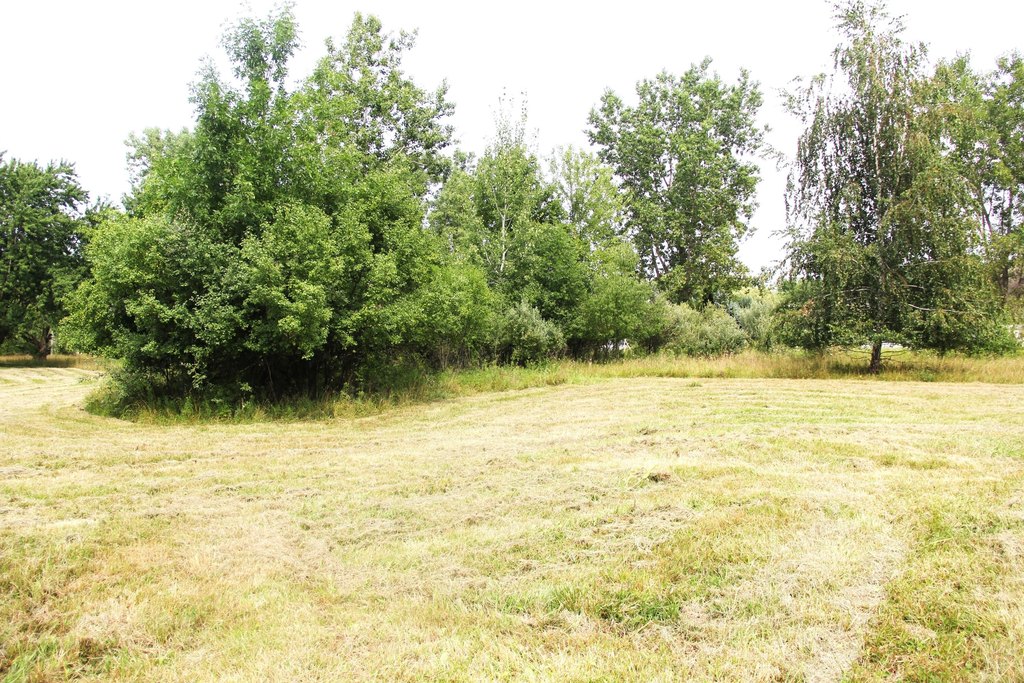Picture 9