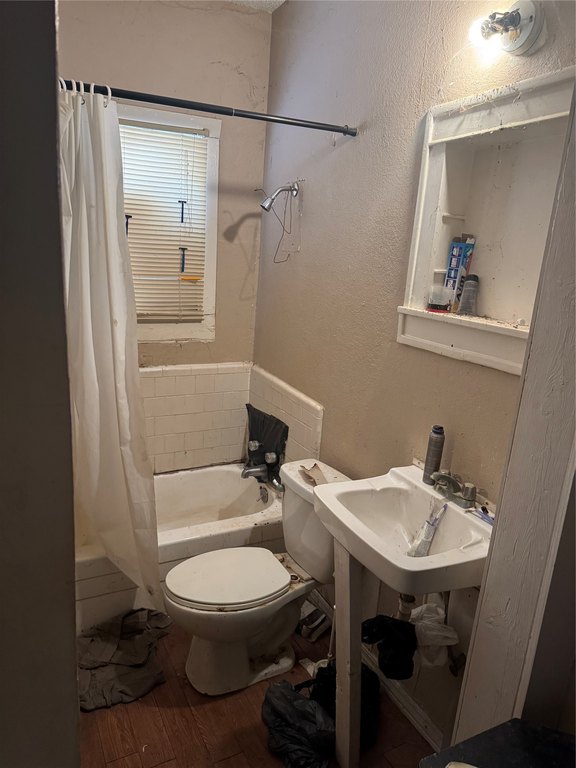 Picture 6
