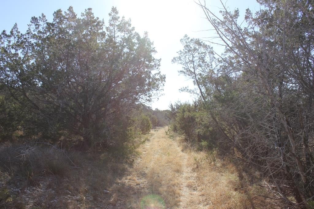 Picture 10